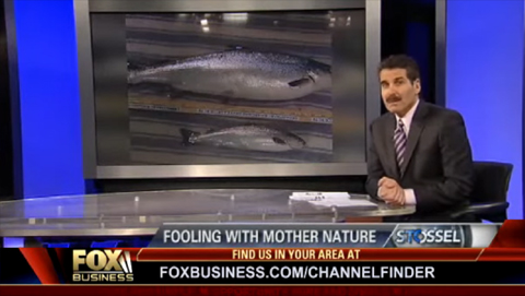 Would You Feast on Genetically Engineered Food?