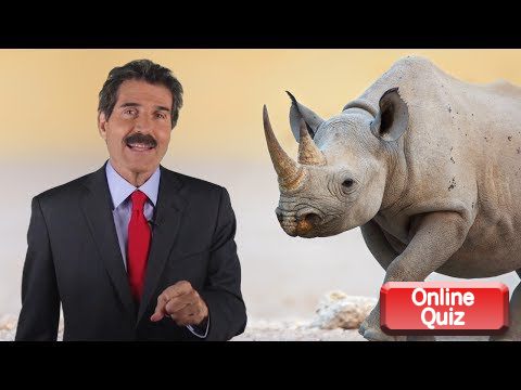 Save the Rhinos!