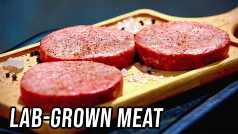 Both Sides: Lab-Grown Meat