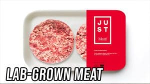 Both Sides: Lab-Grown Meat