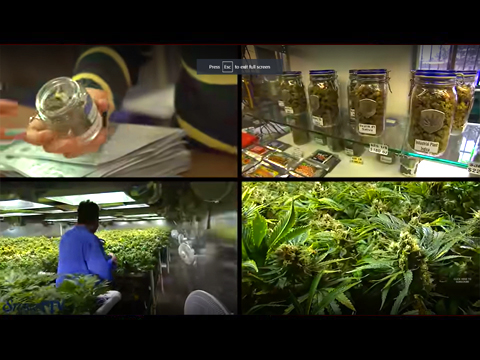 Both Sides: Does Marijuana Legalization Help or Hurt?
