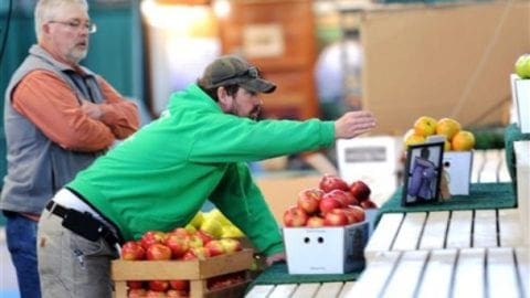 California farm runs on the honor system?