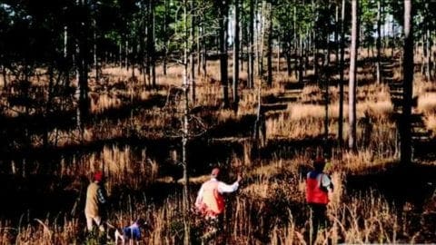 Do Hunters Make the Best Environmentalists?