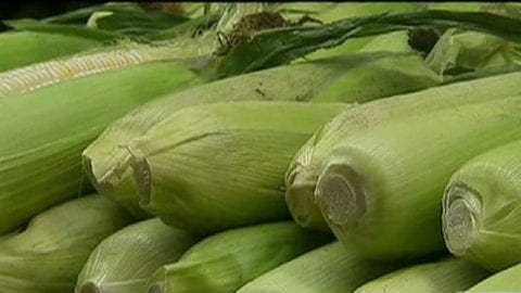 Would You Feast on Genetically Engineered Food?