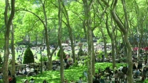 Taking Parks Corporate