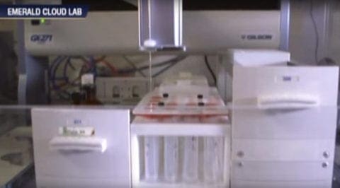 Technological Innovation: Do Rules Stifle Growth?