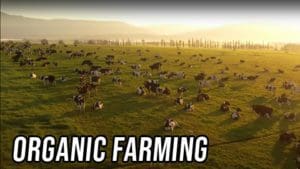 Both Sides: Organic Farming