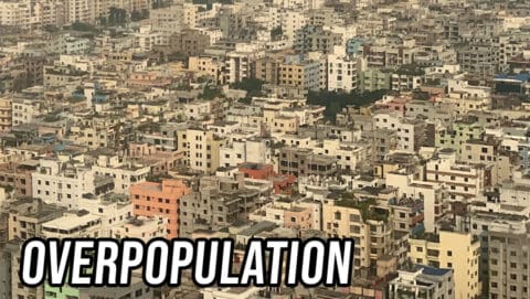 Both Sides: Overpopulation