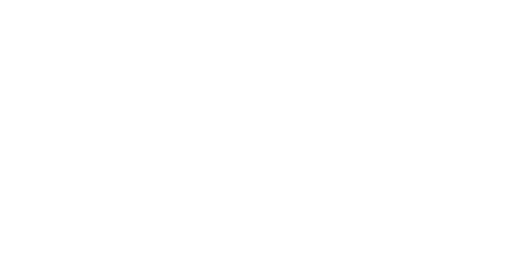 stossel in the classroom essay contest winners 2023