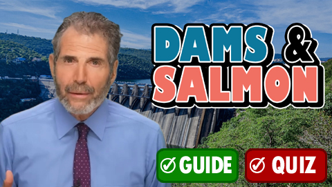 Dams & Salmon