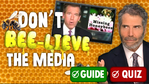 Bee-pocalypse: Another Media Scare Story
