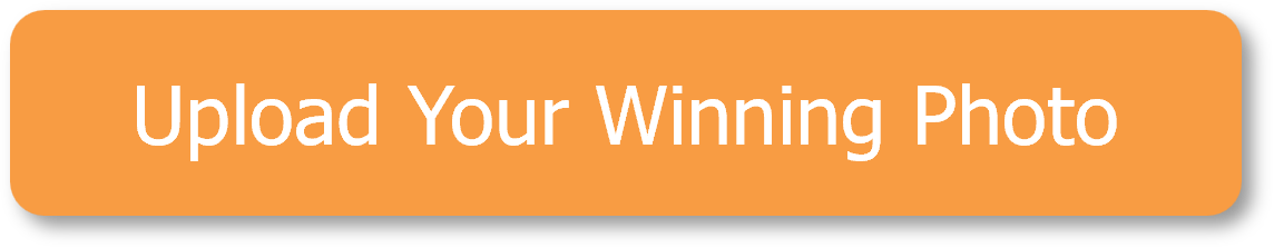 Upload Your Winning Photo