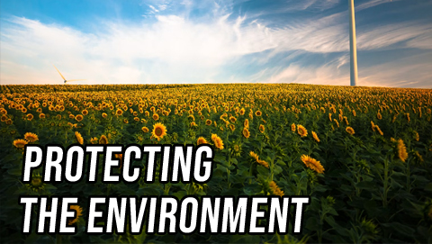 Both Sides: The Government’s Role in Protecting the Environment