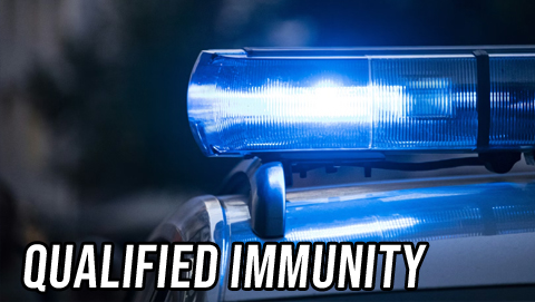 Both Sides: Qualified Immunity