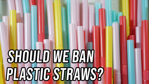 Both Sides: Should We Ban Plastic Straws?