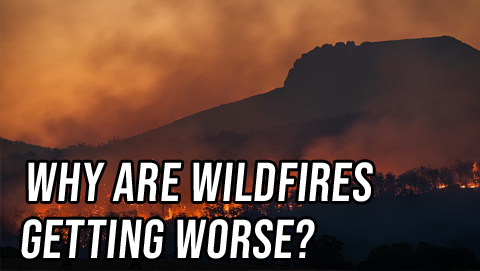 Both Sides: Why Are Wildfires Getting Worse?
